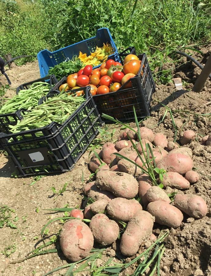 Agriturismo Carrozzino Sersale Zewnętrze zdjęcie